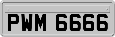 PWM6666