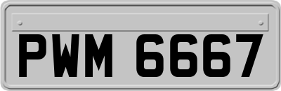 PWM6667