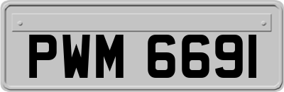 PWM6691