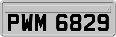 PWM6829