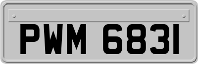 PWM6831