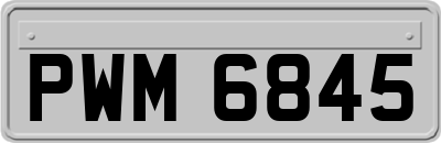 PWM6845