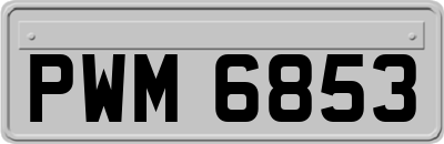 PWM6853