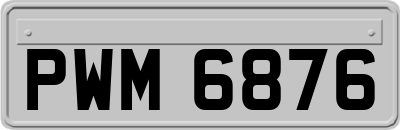 PWM6876