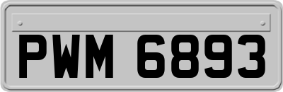 PWM6893