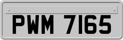 PWM7165