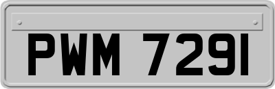 PWM7291