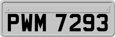 PWM7293