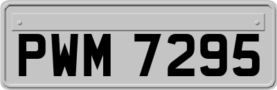 PWM7295