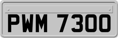 PWM7300