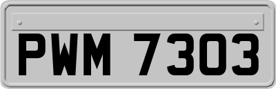 PWM7303