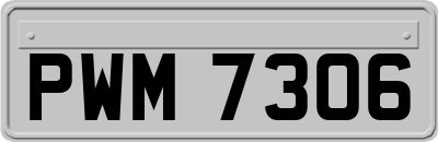 PWM7306