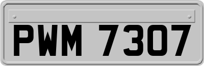 PWM7307