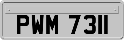 PWM7311