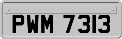 PWM7313