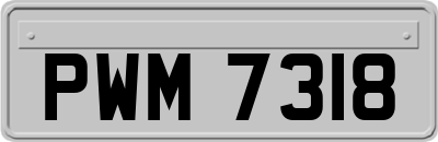 PWM7318