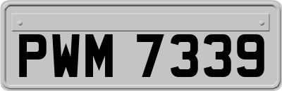 PWM7339