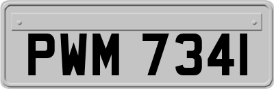 PWM7341