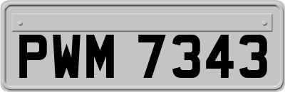 PWM7343