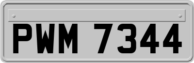 PWM7344