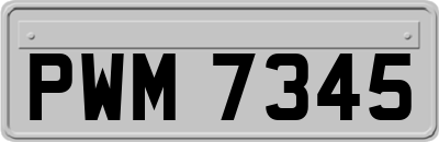 PWM7345