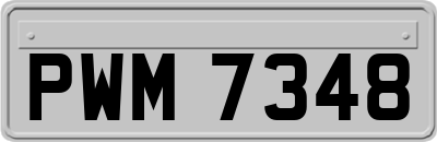 PWM7348