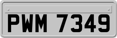 PWM7349