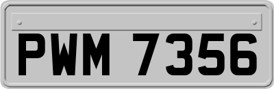 PWM7356