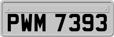 PWM7393