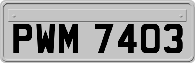 PWM7403