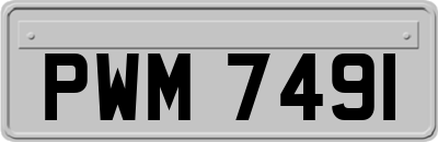 PWM7491