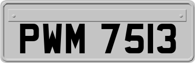 PWM7513