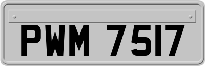 PWM7517