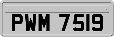 PWM7519