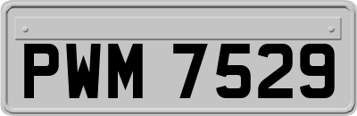 PWM7529