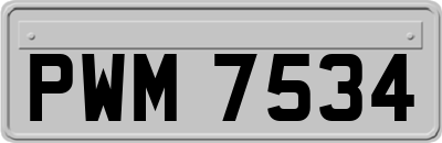 PWM7534