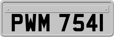 PWM7541