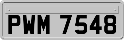 PWM7548