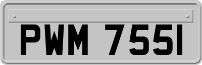 PWM7551