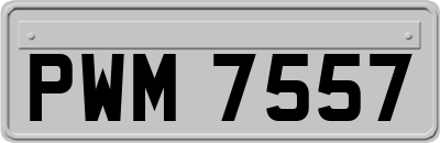 PWM7557