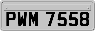 PWM7558