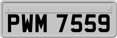 PWM7559