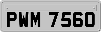 PWM7560