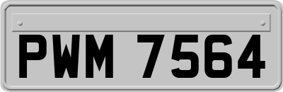 PWM7564