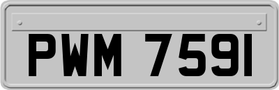 PWM7591