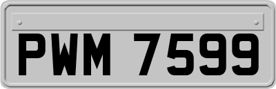 PWM7599