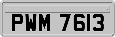 PWM7613