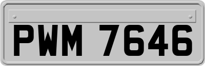 PWM7646