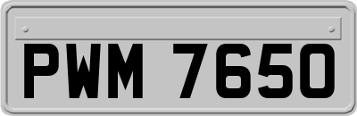 PWM7650