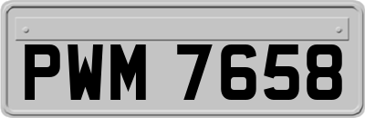 PWM7658